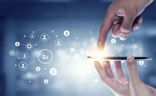 十大关键词解码深圳发展蓝图 粤港澳大湾区科技创新与信息科技技术服务新图景